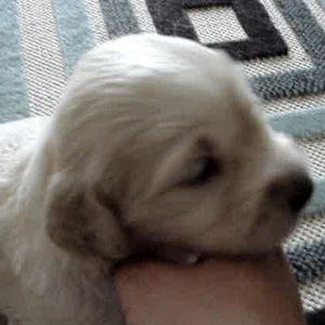 Meet your Posher, Jill